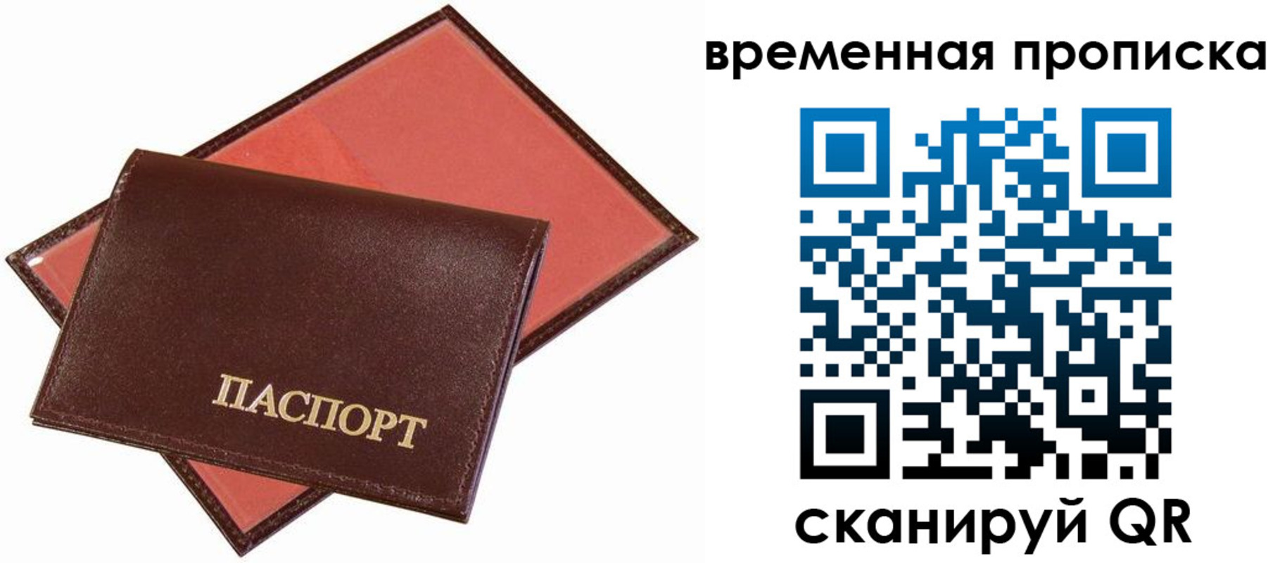 прописка в квартире в Раменском